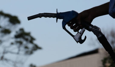 Simplicity chief economist voices concerns with Govt response