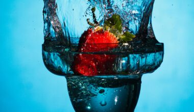 Probing the "Black Box" of Consciousness