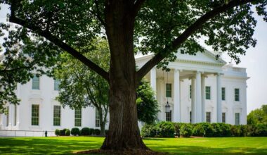 Ibogaine: A Psychedelic Solution to the Opioid Epidemic?