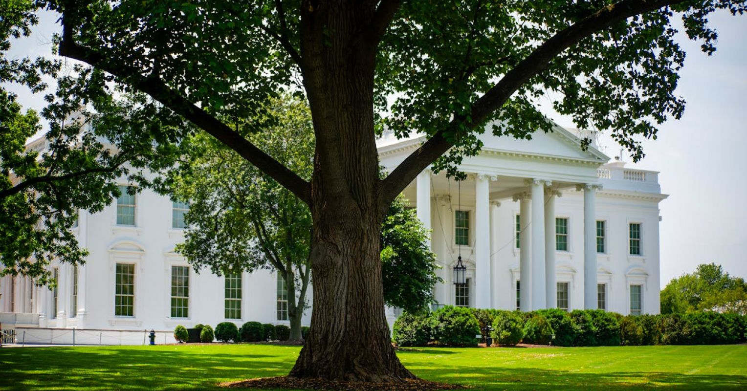 Ibogaine: A Psychedelic Solution to the Opioid Epidemic?