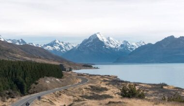 New Zealand hits study destination target a decade early