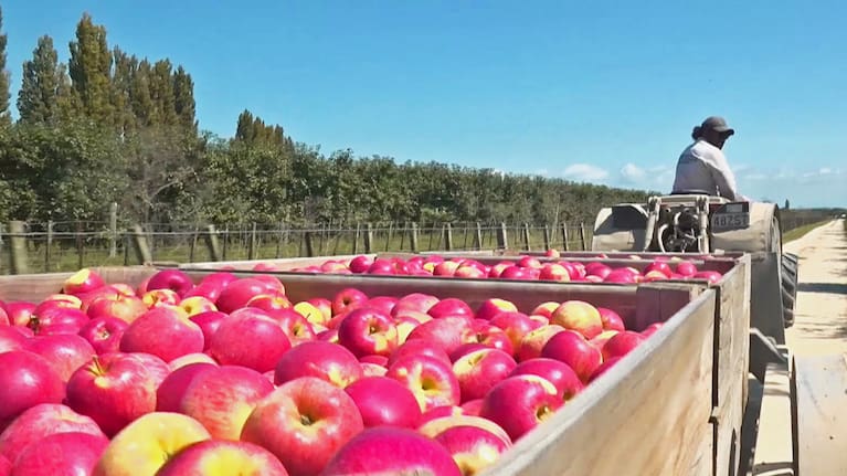 An unconnected survey conducted by MBIE and representing a quarter of RSE employers suggested many went beyond their legal and pastoral obligations to help staff.