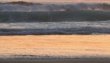 Has Mindfulness Had Its Day?