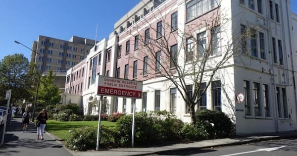 Police probe how salt ended up in baby formula at Dunedin Hospital
