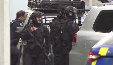 Three arrested after alleged gun sighting in Petone