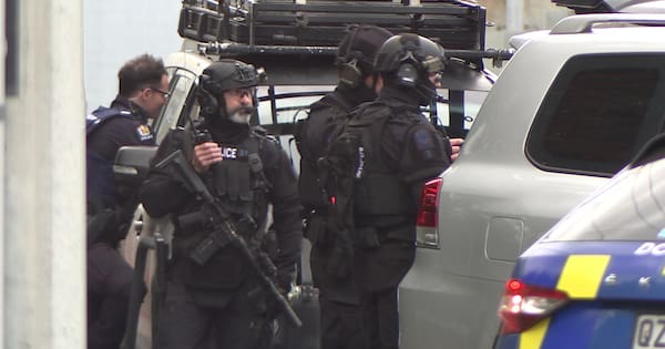 Three arrested after alleged gun sighting in Petone