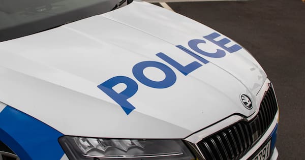 Youths pointing toy guns in Auckland prompts armed police response
