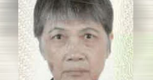 Names of those charged over death of Shulai Wang revealed