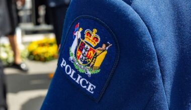 Wellington woman murdered by son with ornament