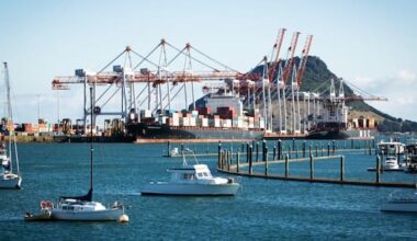 Croatian deported for role in $20 million cocaine bust in Tauranga