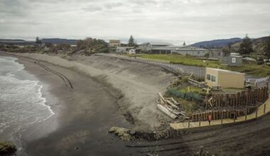 Port Waikato's new erosion sea wall marks victory after years of toil