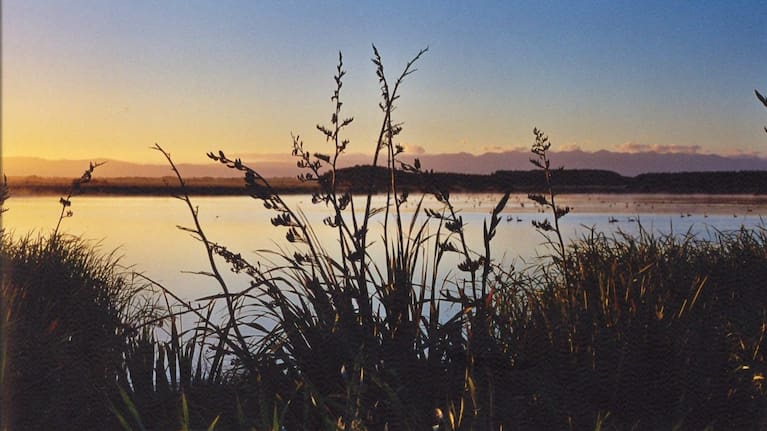 Pukepuke Lagoon near Himatangi and Tangimoana townships when the lagoon wasn’t dry (File Photo).