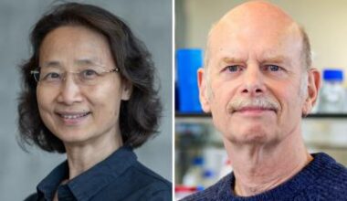 Targeting tumour DNA with CRISPR variant • healthcare-in-europe.com