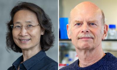 Targeting tumour DNA with CRISPR variant • healthcare-in-europe.com