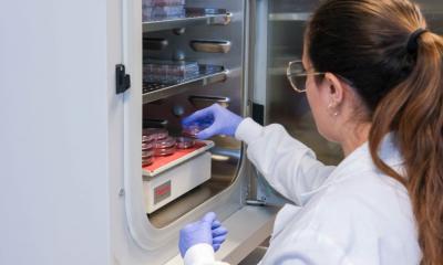 New organoids offer deeper insights into pediatric brain cancer • healthcare-in-europe.com