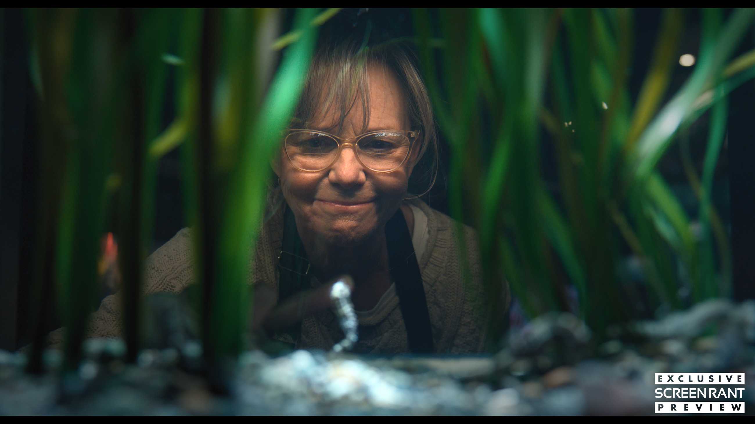 Sally Field admires a sea creature in an aquarium in Remarkably Bright Creatures