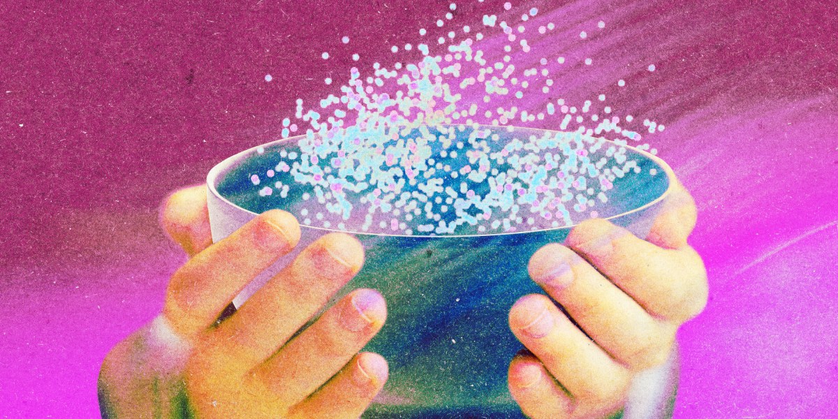 Chinese tech workers are starting to train their AI doubles--and pushing back