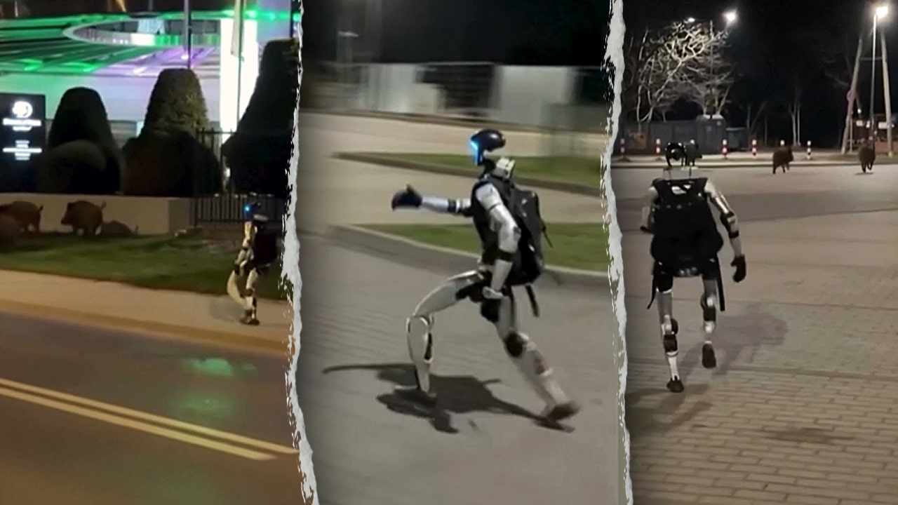 Humanoid robot chases wild boars in viral video