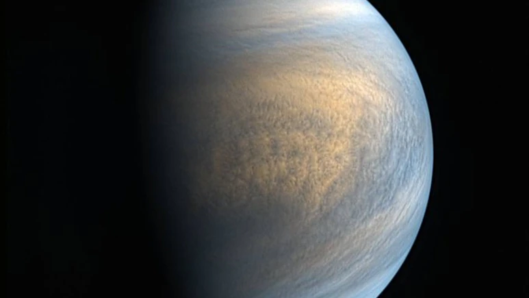 Could Earth Have Sent Life To Venus? New Study Explores 'Panspermia' As A Possible Explanation