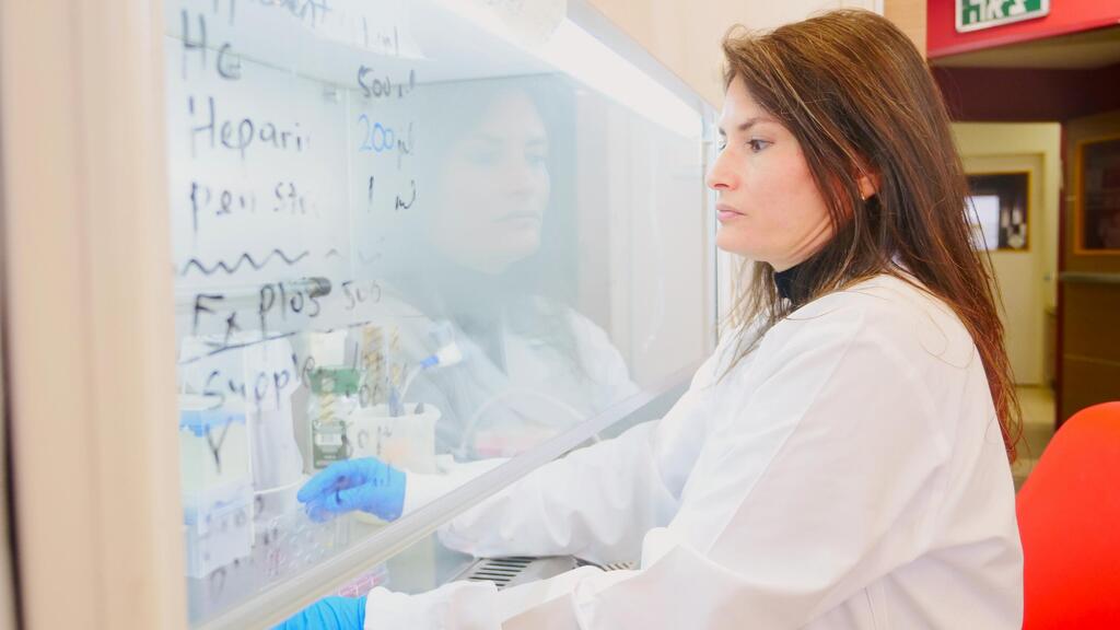 ד"ר ארבל ארצי-שנירמן, חוקרת, הדפסת רקמות, רמב"ם