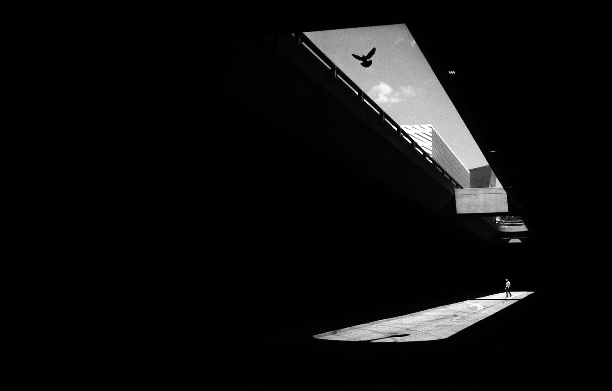 a black-and-white photograph by Daniel Sackheim in a noir style of a figure walking next to a large building amid deep shadows, with a silhouetted pigeon flying above