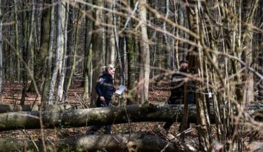 Three killed as high winds topple tree on Easter egg hunt in Germany