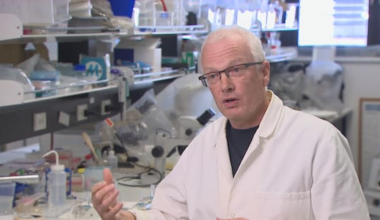 Science job cuts spark 'brain drain' warning from researchers