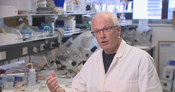 Science job cuts spark 'brain drain' warning from researchers