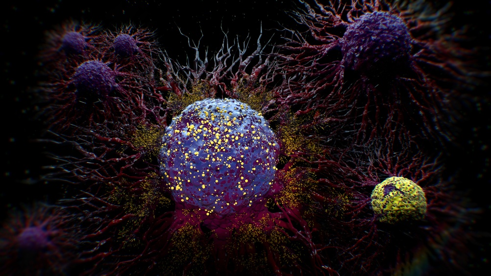 First-of-a-kind ‘smart’ drugs help fight cancer cells