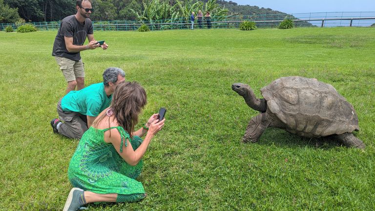 Posing for tourists on St. Helena. Pic: AP
