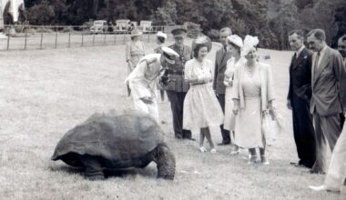 King George VI, the then Queen and Princess Elizabeth, alongside Princess Margaret, all met Jonathan in 1947. Pic: PA