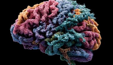 Neuroscience News logo for mobile.