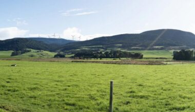 Green light for Southland wind farm