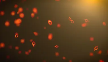 Did a black hole just explode? This “impossible” particle may be the evidence