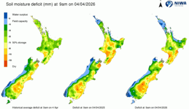 Breakfast briefing: US service sector cools, inflation heats up
