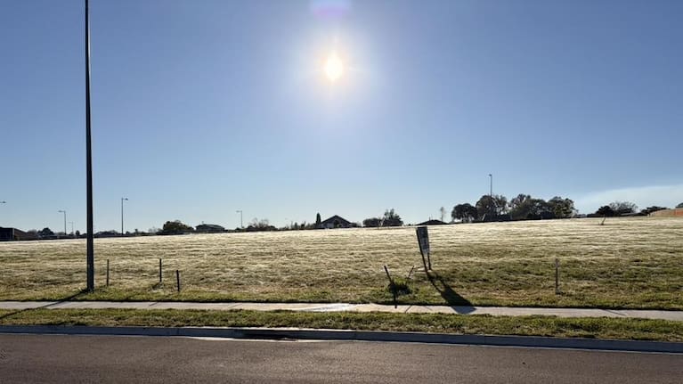Spiderwebs blanket a reserve in Havelock North.