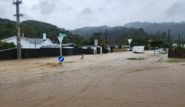 Councils want more help from govt with natural disaster protection