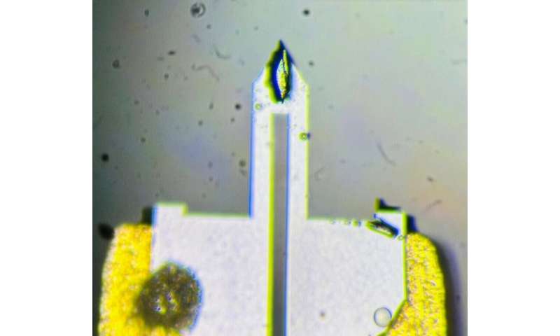 Superconductivity that shouldn't exist?