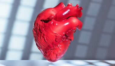 Syphilis infection tied to serious heart problems