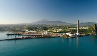 Government's LNG terminal plans didn't model global price spike