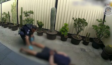 Teen fleeing after Brisbane burglary leaps into cactus garden