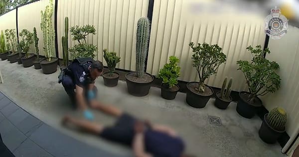 Teen fleeing after Brisbane burglary leaps into cactus garden