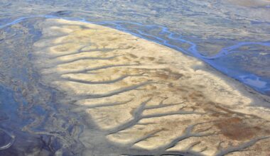 Thawing permafrost may release more greenhouse gases