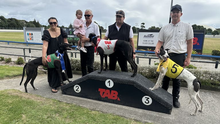 The greyhound industry has described it as a "ban without a plan".