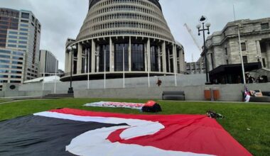 Waitangi Tribunal begins urgent inquiry into school Treaty obligations