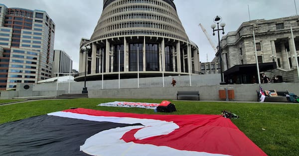 Waitangi Tribunal begins urgent inquiry into school Treaty obligations
