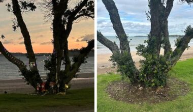 Memorial for man who died at Auckland beach damaged 6 times in 9 days