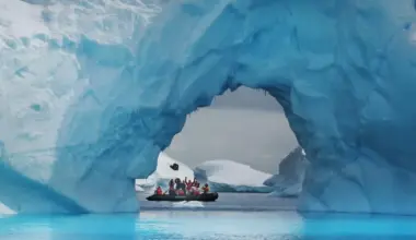 Scientists find 1,000 Arctic fish nests while searching for Shackleton’s lost ship