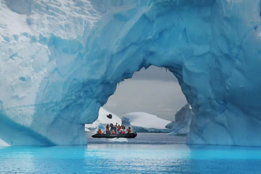 Scientists find 1,000 Arctic fish nests while searching for Shackleton’s lost ship