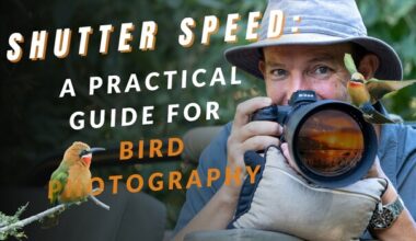 Bird Photography Beyond Maximum Shutter Speed